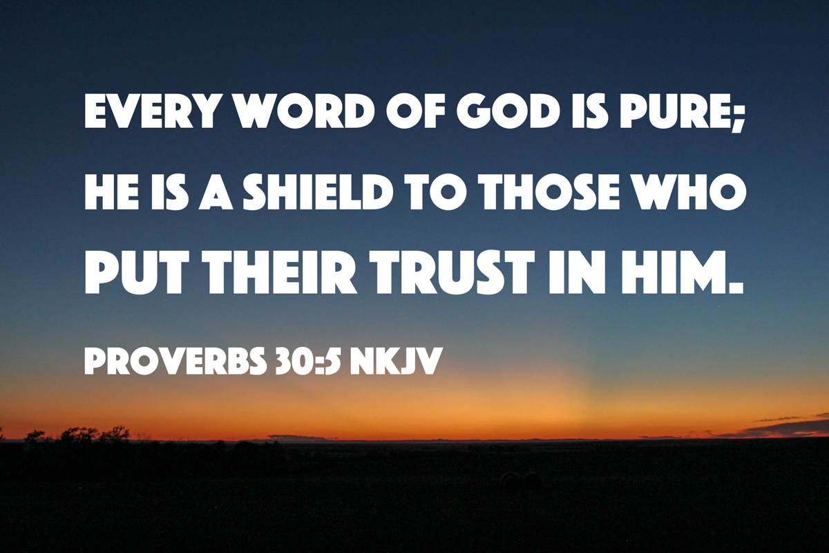 Quoted Photos — Proverbs 28 – 31